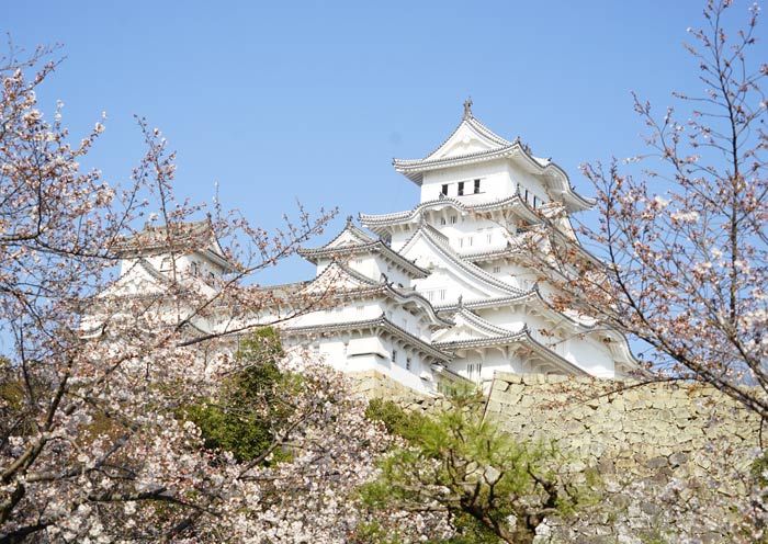 El Castillo de Himeji en primavera Himeji Castle in Spring