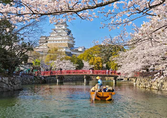 9 Días Tour por Sakura en Japón