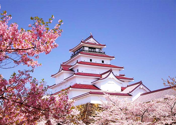 Castillo de Osaka Osaka Castle in Cherry Blossom Season