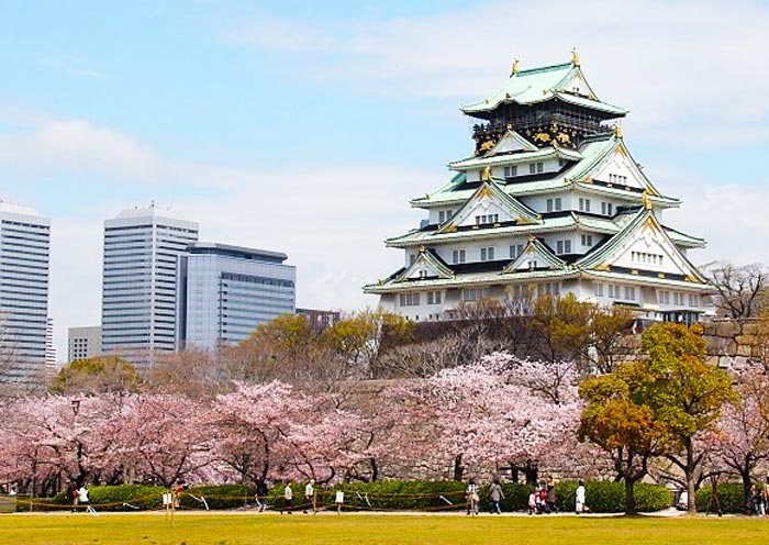 9 Días en el Tour de la Ruta Dorada de Japón
