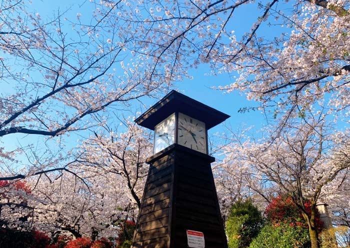 Tours por grupo a Japón