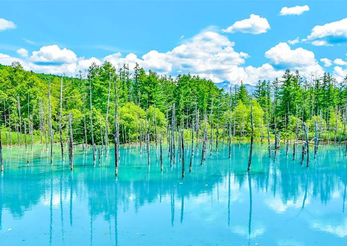 Shirogane Blue Pond, Biei 