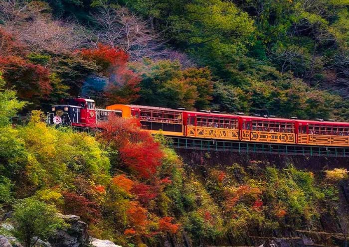 Sagano Scenic Railway, Kyoto