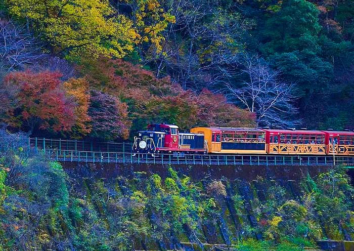 Ferrocarril Panorámico Sagano, Kyoto Sagano Scenic Railway, Kyoto