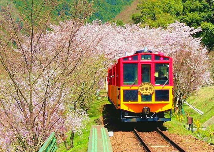 Ferrocarril Panorámico Sagano, Kyoto Sagano Scenic Railway, Kyoto