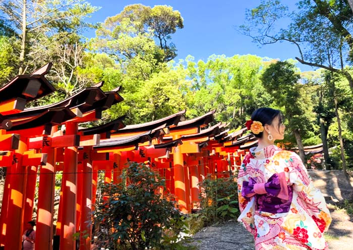 16 Días Tour por Japón y China