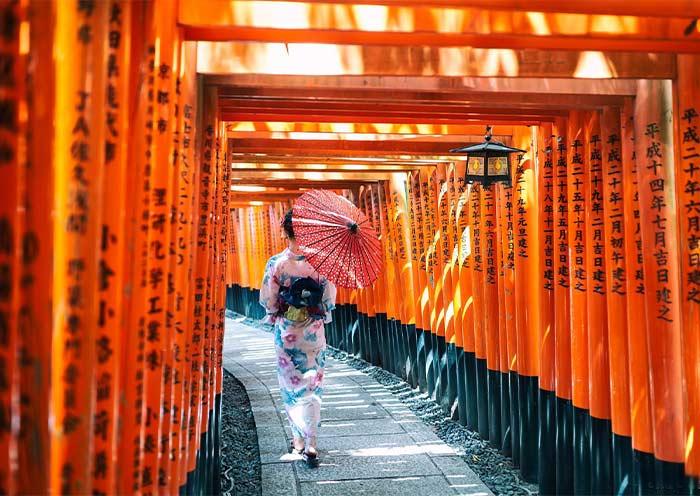 10 Días de Tour por Japón