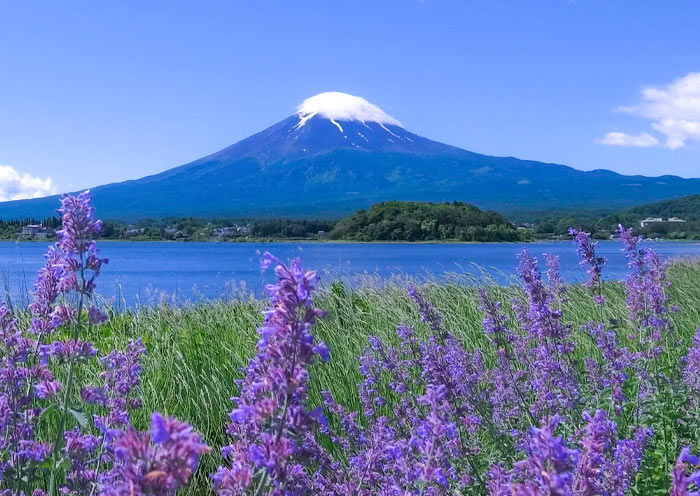 El Monte Fuji en Temporada de Verano Mount Fuji in Summer Season