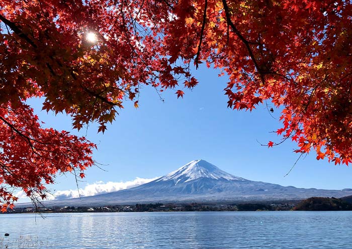 Autumn Mount fuji in Kawaguchigo