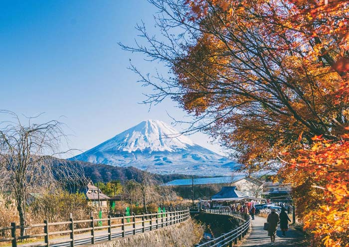 Monte Fuji en otoño Mount fuji in autumn