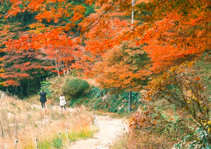 Nakasendo Nakasendo