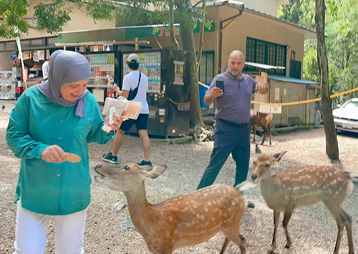 Nara Park