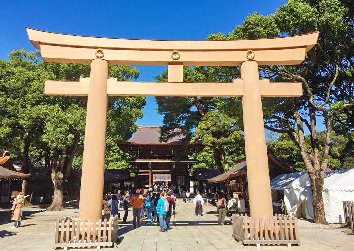  Meiji Shrine Torii Gate