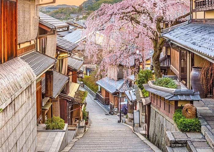 14 Días: Tour Panorámico de Japón