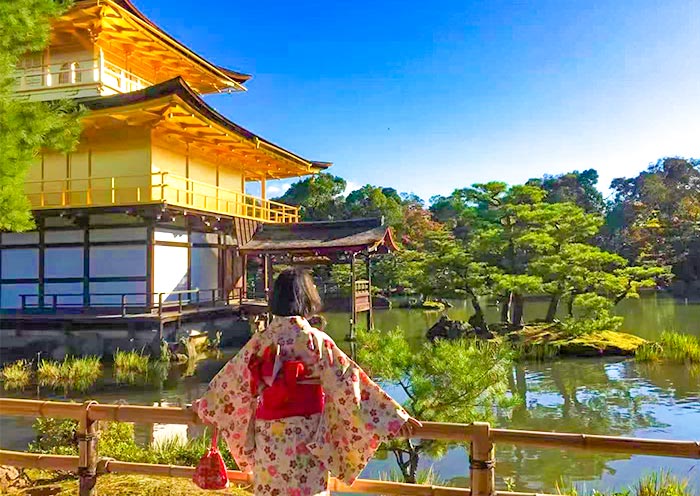 Tours por los Cerezos en Flor en Japón