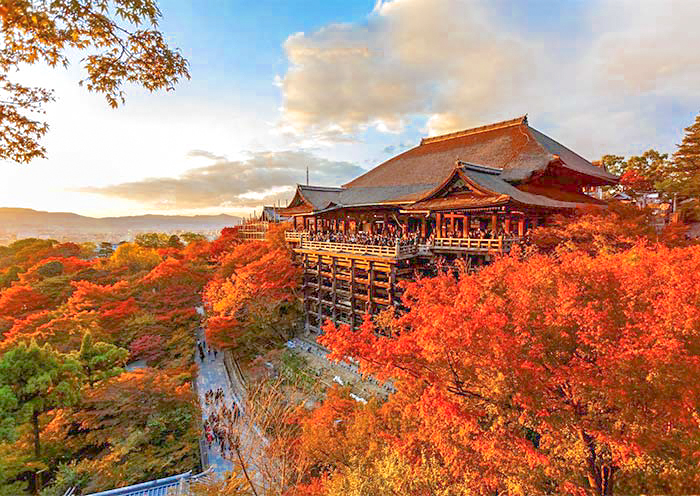 8 Días Tour por las Hojas Caídas de Otoño en Japón