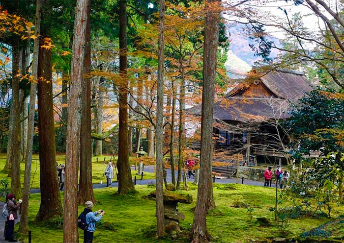 Templo Sanzenin, Kioto Sanzenin Temple, Kyoto