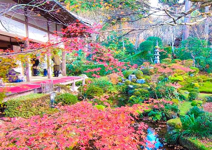 Sanzenin Temple, Kyoto
