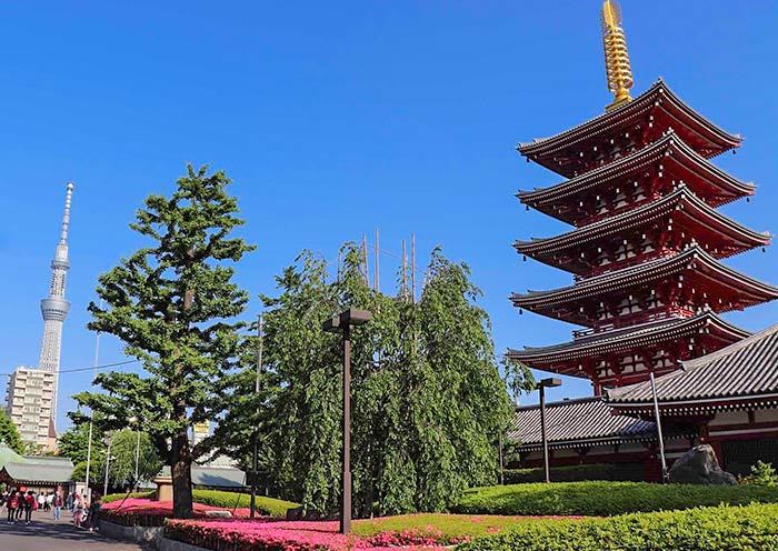 Tokyo Skytree y la Pagoda de Cinco Pisos Tokyo Skytree & Five-story Pagoda