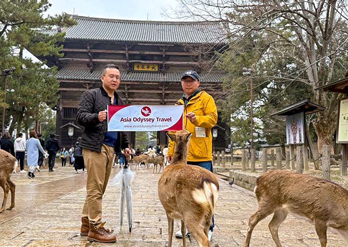 8 Días de Tour Clásico por Japón