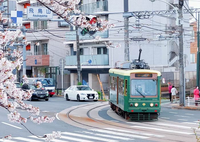 Tranvía Sakura de Tokio en Primavera Tokyo Sakura Tram in Spring