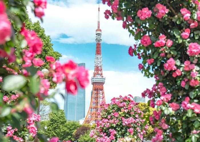 Viajes a Japón desde Chile 