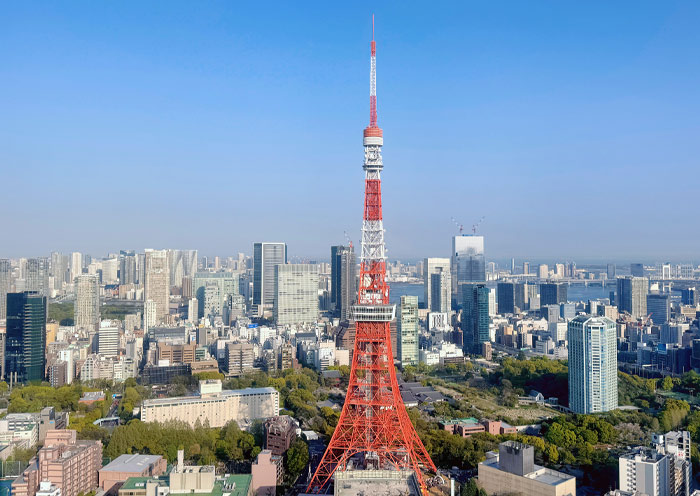 Vista panorámica desde la Torre de Tokio Tokyo Tower Panoramic View