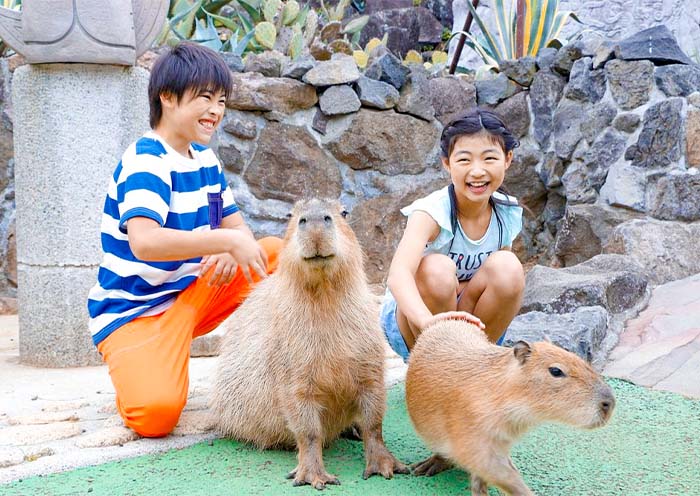 Izu Shaboten Zoo