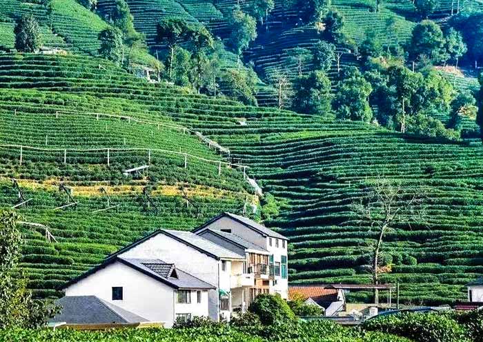 Meijiawu Tea Village