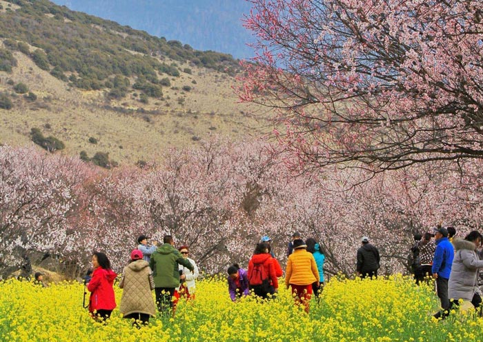 Pueblo Gala de Flores de Melocotón Gala Peach Blossom Village