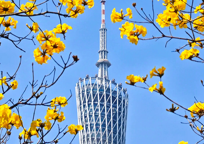 Guangzhou Tower in February