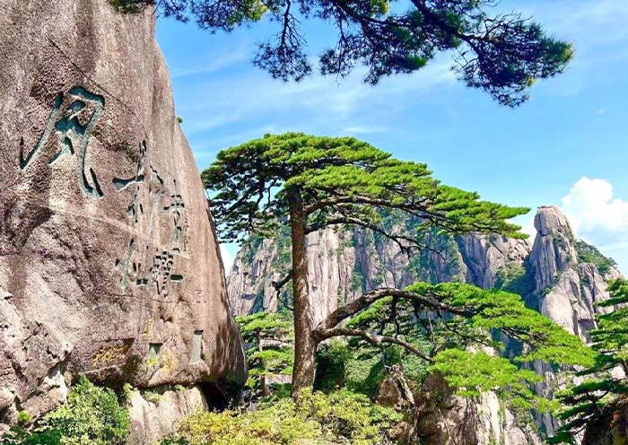 Mountain Huangshan in Summer