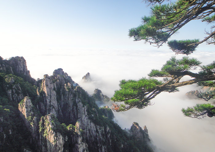 Yellow Mountain