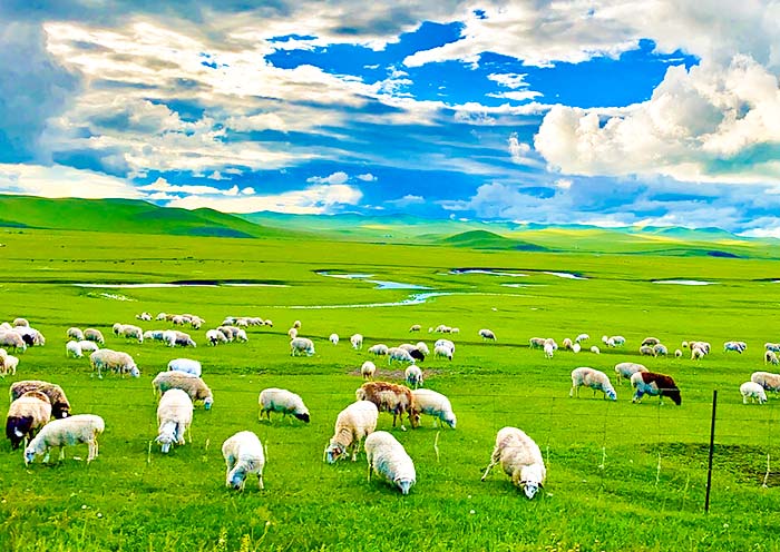 Asia Odyssey Travel tailor-made Tour