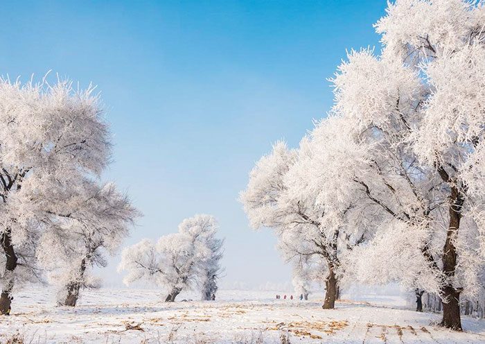 Jilin Wusong Island