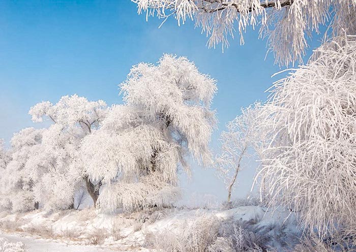 Jilin Wusong Island