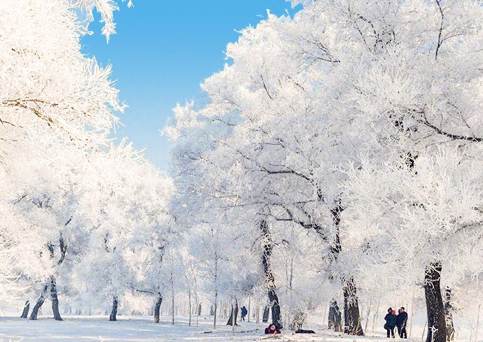 Jilin Wusong Island