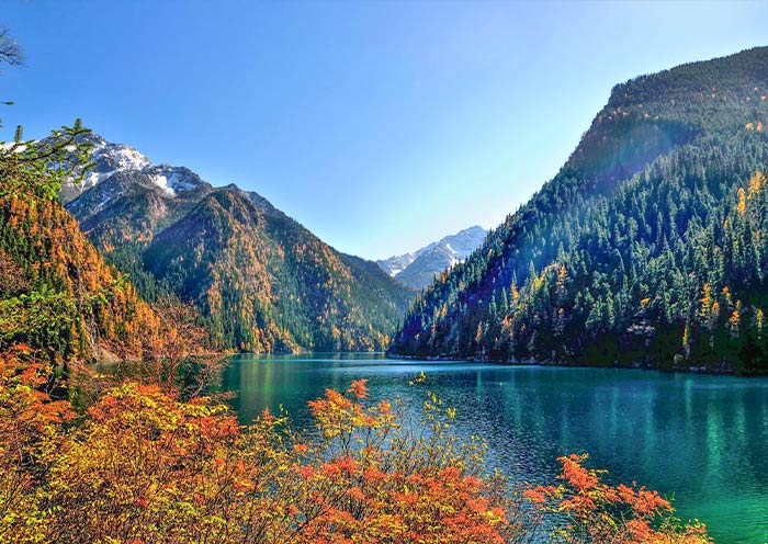 Chengdu o Chongqing: ¿Qué ciudad elegir para tu viaje a China?