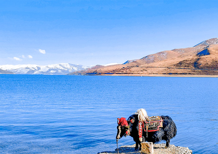 Tibet Yamdrok Lake