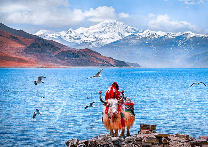 Tibet Yamdrok Lake Tibet Yamdrok Lake