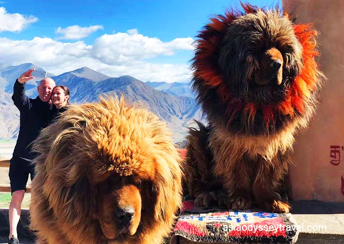 Tibet Yamdrok Lake
