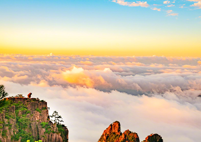 Monkey Gazing at the Sea, Mt. Huangshan