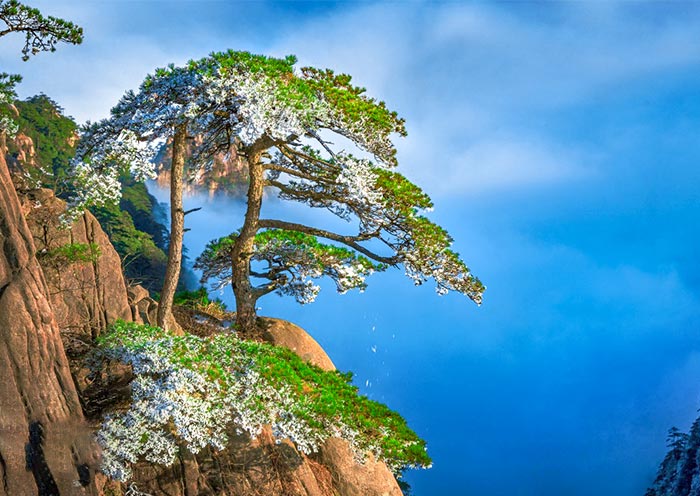 Begin-to-Believe Peak, Mt.Huangshan