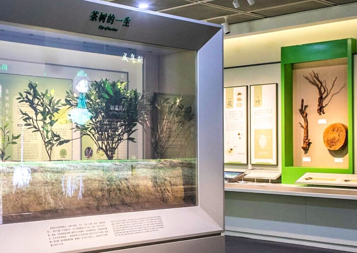China Tea Museum Shuangfeng Branch