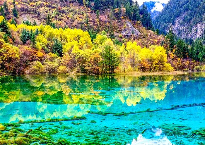 Beautiful Autumn View of Jiuzhai Valley