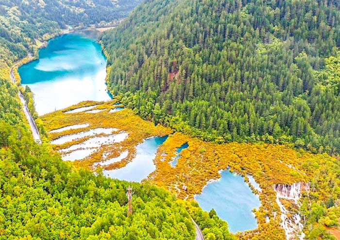 Vivid colors and unique shapes of Jiuzhaigou