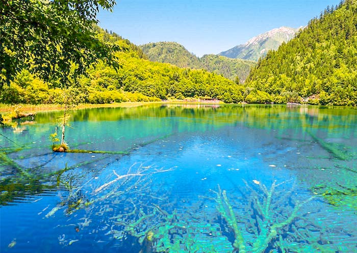 Five Flower Lake of Jiuzhaigou