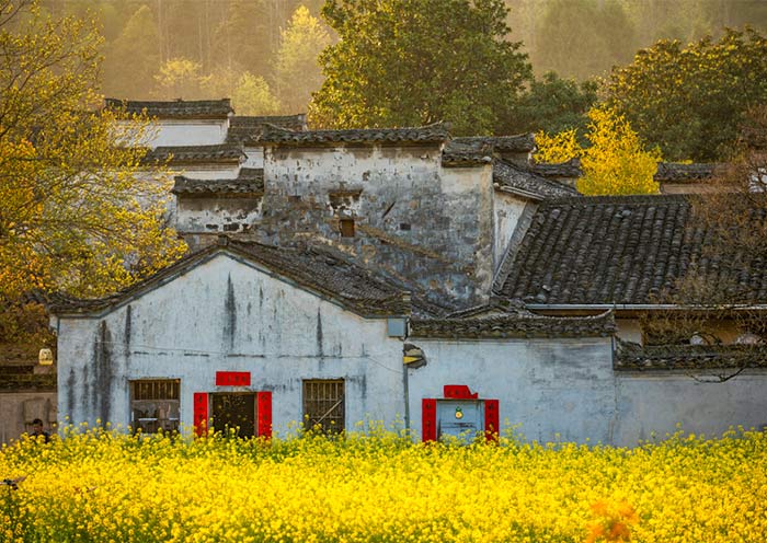 Xidi Village
