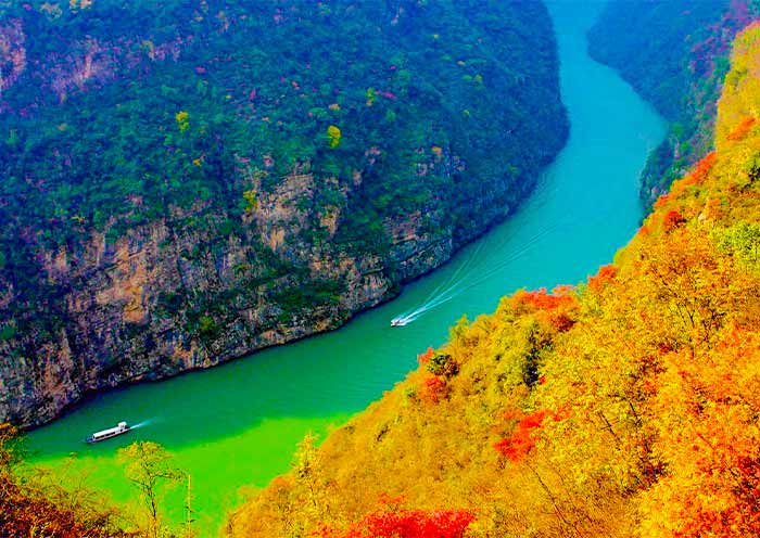 Shennong Stream