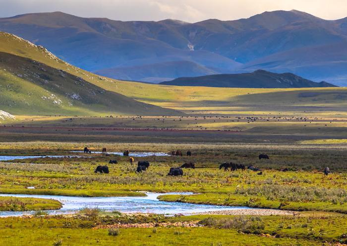 Maoya Prairie, Sichuán Maoya Grassland, Sichuan